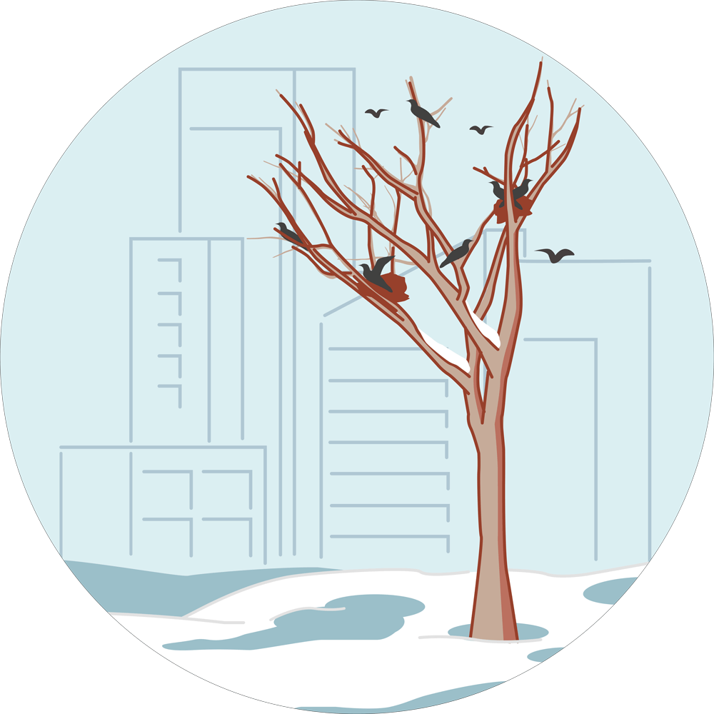 Акция «Прощай, зима!»